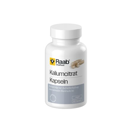 Raab Vitalfood - Kaliumcitrat Kapseln konv.