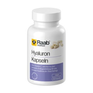Raab Vitalfood - Hyaluron 500  konv