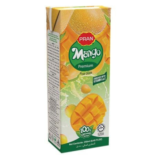 Mango-Getränk - Mango-Getränk, Flasche 250 ml