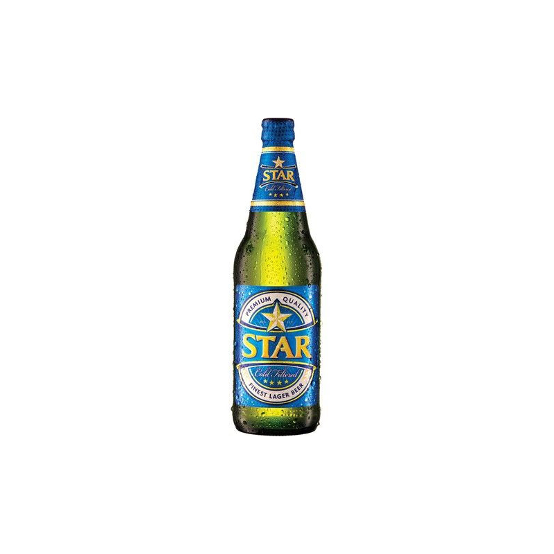Bier 5,1% Vol. - Plato 11,5 - Bier 5,1% Vol. - Plato 11,5, Flasche 600 ml