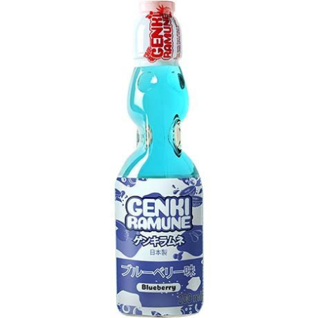 Soda Getränk Blaubeere - Soda Getränk Blaubeere, Flasche 200 ml