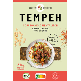 peaceful delicious Tempeh - Soybean Tempeh with Oriental Spices - 