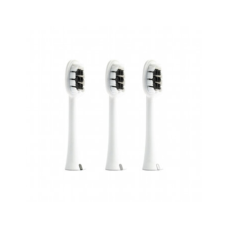 Zahnheld - Testine Basic Medium - 