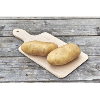 Kartoffeln Charlotte ( festkochend )