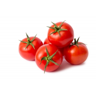 Tomaten 57/67er