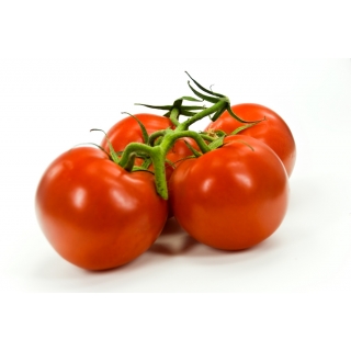 Tomaten Ramato