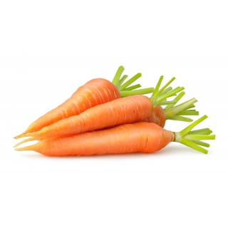 Karotten Mittel