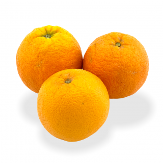 Orangen Navels - Täglich frische Orangen Navels von unserem Bio und Knospe zertifiziertem Gemüse und Früchte Lieferanten aus der