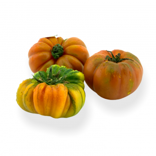 Tomaten Merinda Extra - Täglich frische Tomaten Merinda Extra von unserem Bio und Knospe zertifiziertem Gemüse und Früchte Liefe
