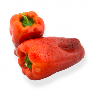 Peperoni Rot Extra - Täglich frische Peperoni Rot Extra von unserem Bio und Knospe zertifiziertem Gemüse und Früchte Lieferanten