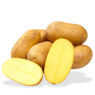 BIO Kartoffeln festkochend 1kg - Täglich frische Birnen Kaiser von unserem Bio und Knospe zertifiziertem Gemüse und Früchte Lief