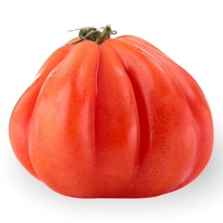 BIO Tomaten Cuore di Bue - Täglich frische Birnen Kaiser von unserem Bio und Knospe zertifiziertem Gemüse und Früchte Lieferante