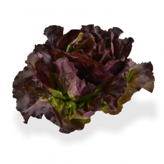 Organic red lettuce - Fresh Kaiser pears every day from our organic and bud-certified vegetable and fruit suppliers in the regio