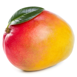 ORGANIC mango - Täglich frische Birnen Kaiser von unserem Bio und Knospe zertifiziertem Gemüse und Früchte Lieferanten aus der R